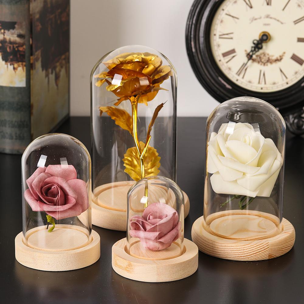 Rośliny do dekoracji domu Słoi – Home Decor Glass recenzja i cena