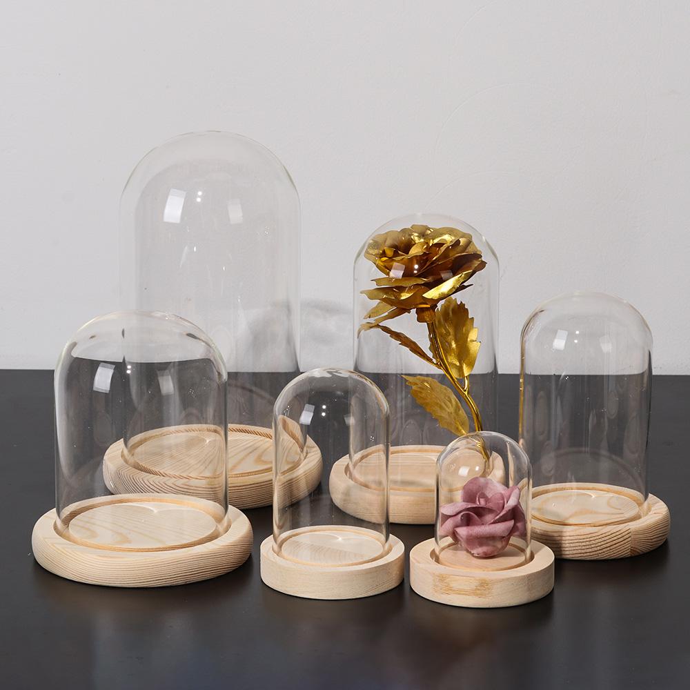 Rośliny do dekoracji domu Słoi – Home Decor Glass recenzja i cena